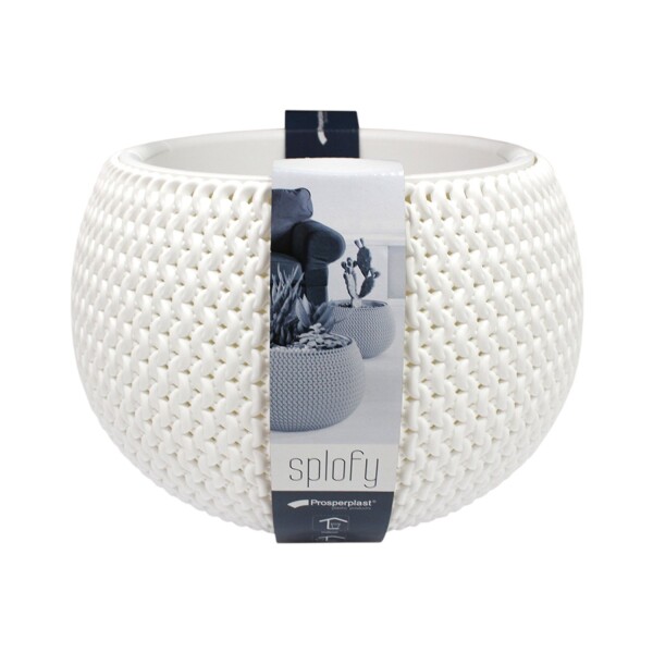 Prosperplast Splofy Bowl (white)